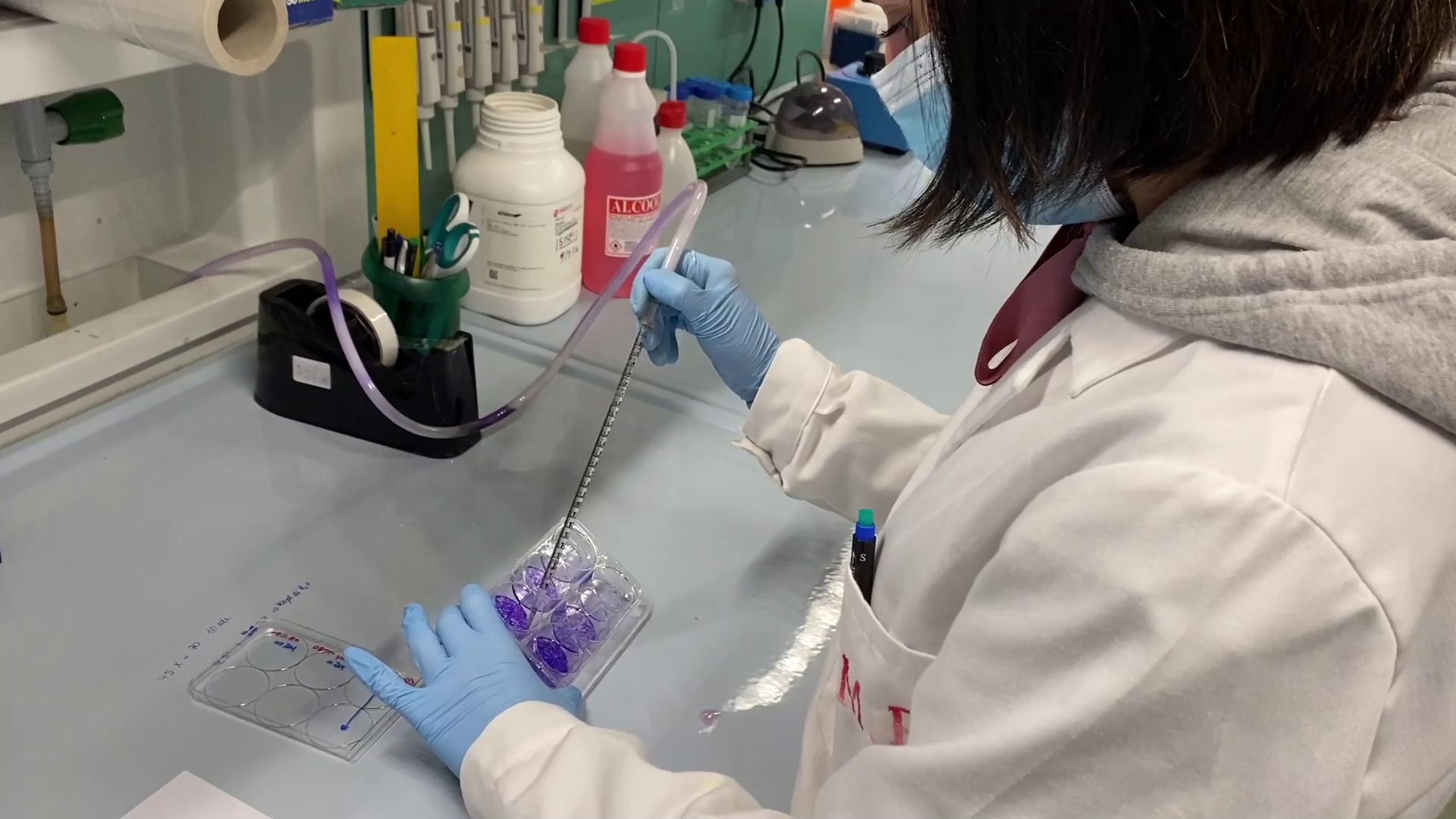 A CANCER RESEARCH JOURNEY