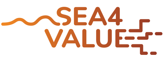 immagine SEA4VALUE – Novel technologies in seawater desalination plants to extract minerals and metals from seawater brines