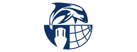 immagine desktop ScienceDIVER – Cross-sectoral skills for the blue economy market