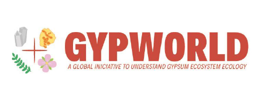 immagine GYPWORLD – A Global initiative to understand gypsum ecosystem ecology