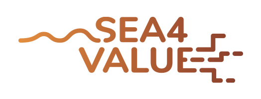 immagine Sea4Value – Novel technologies in seawater desalination plants to extract minerals and metals from seawater brines
